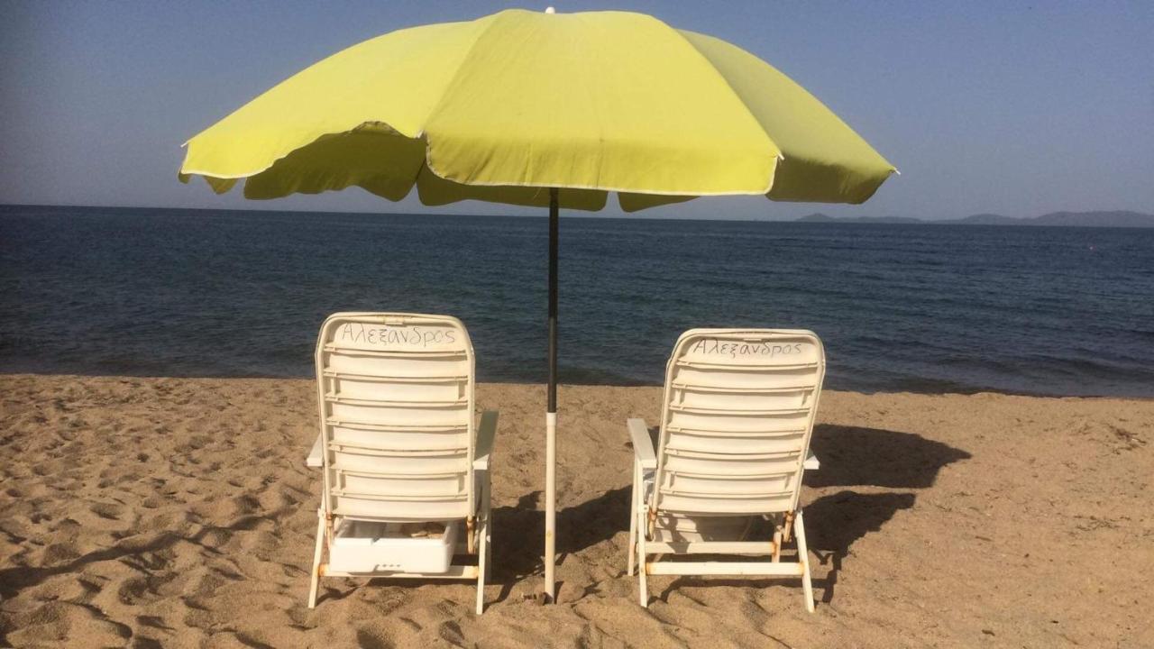 Katevi Luxury Seafront Villa Иериссос Экстерьер фото